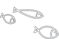 fisut fisut